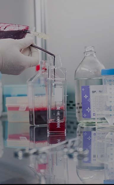 Por qué elegir resinas Haipu