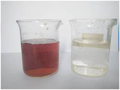Raw water (left) and treated water (right)