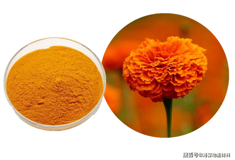 Marigold Extract - Lutein Plant Extract Resin