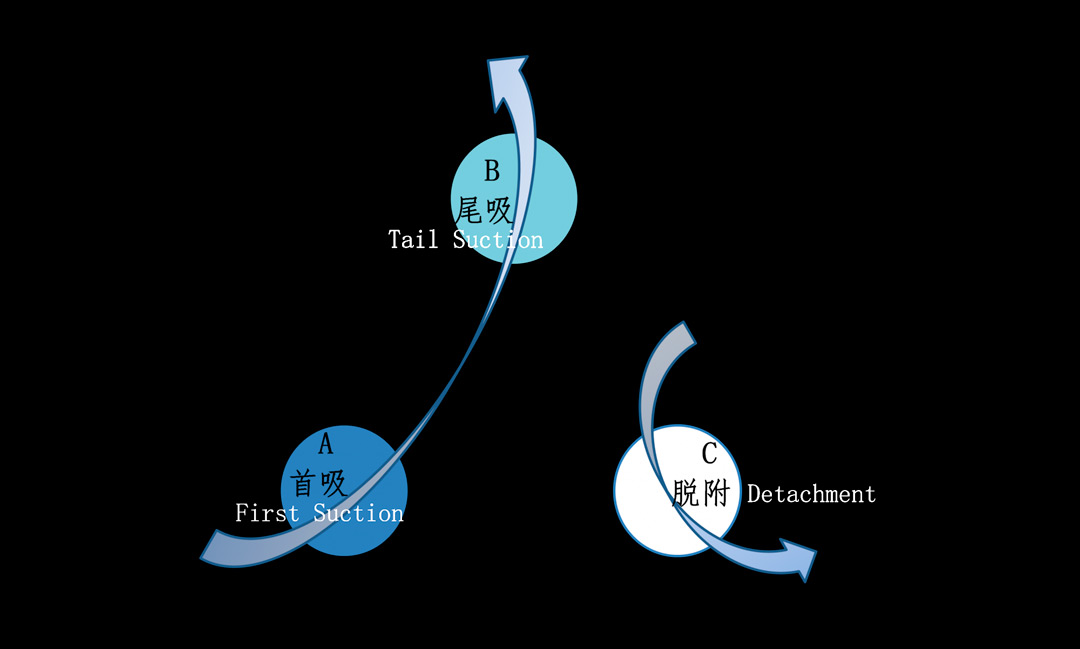 Schematic Diagram of the Operation Process of Series Adsorption (2 Adsorption and 1 Desorption)