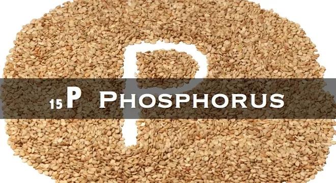 Case Analysis of Phosphorus-Containing Wastewater Treatment in an Agrochemical Enterprise