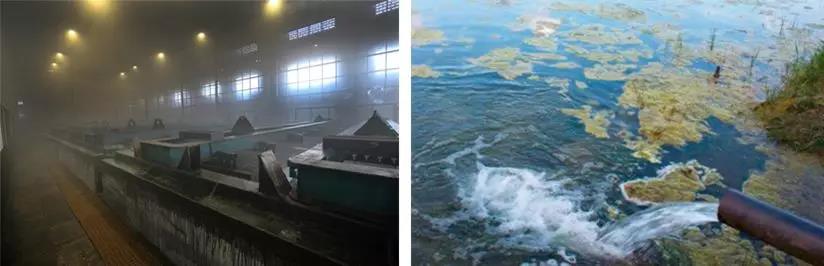 Surface treatment workshop (left) and sewage discharge (right) * Image sourced from the internet