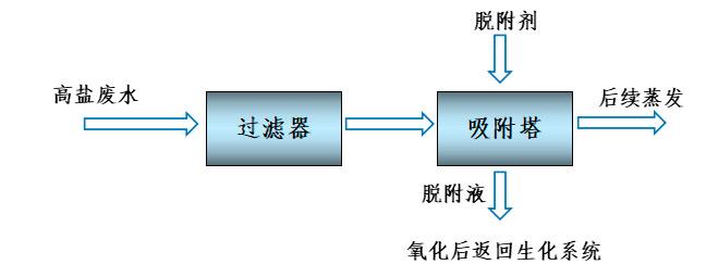 High salt wastewater treatment process