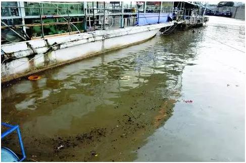 Treatment of High Concentration Saline Wastewater