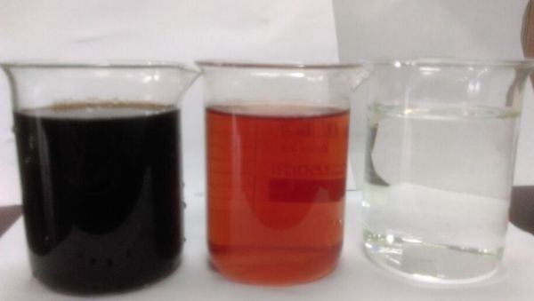 Raw water and effluent