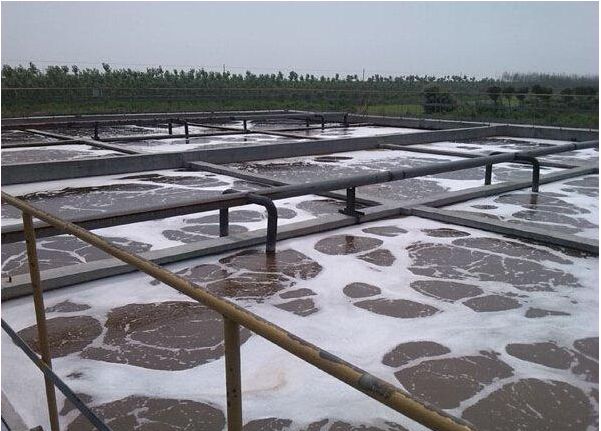 Introduction to Biochemical Treatment Methods for High Salt Wastewater by Manufacturers