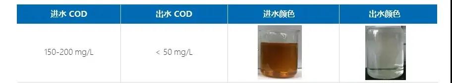 Introduction to the Dilemma of near Zero Discharge of Coal Chemical Wastewater and Efficient Technical Solutions