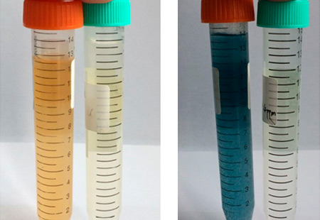 1 # (raw water, effluent) 2 # (raw water, effluent)