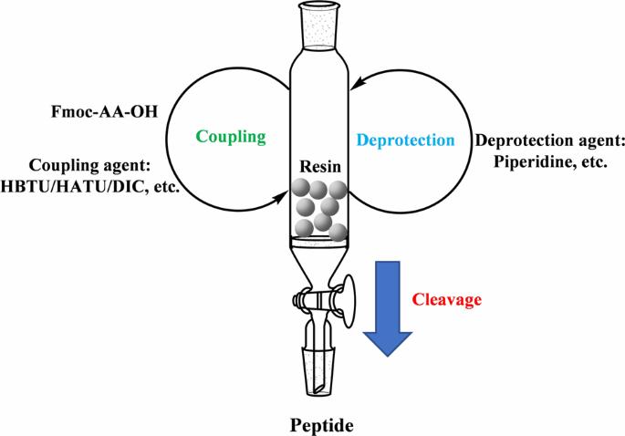 Solid Phase Synthesis Carrier for GLP-1 Peptide Drugs