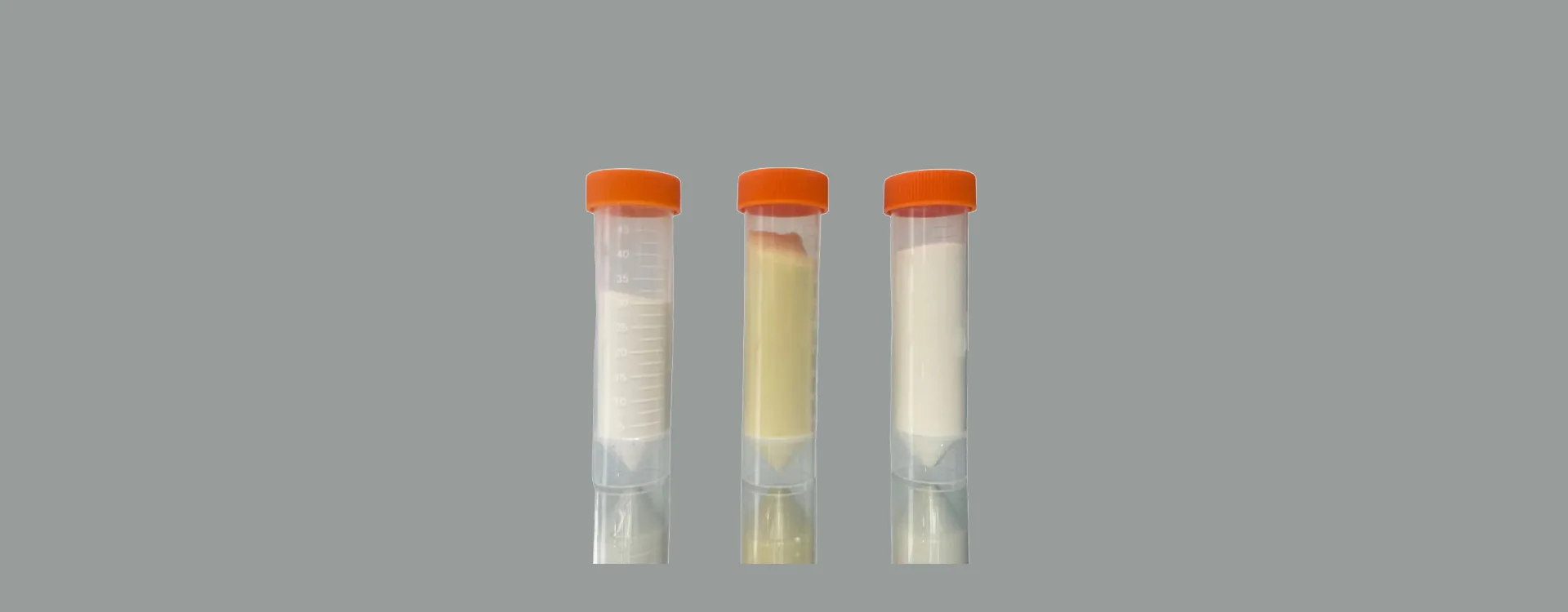 Transportadores de síntesis